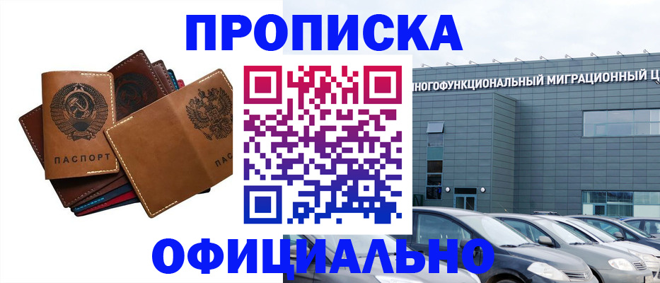 прописка в квартире в Борзе